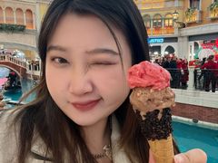 -澳门威尼斯人综合度假区