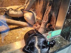 -温州动物园-北门售票处