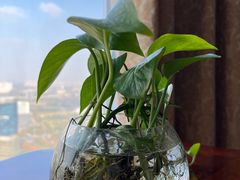 -南通金石国际大酒店