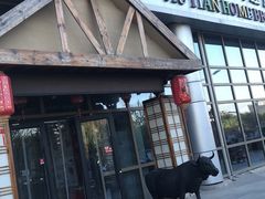 门面-九田家黑牛烤肉料理(珠江摩尔店)