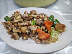 -一煲鸽