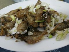 android_upload_pic-唔呶喔哩酒家(生产街店)