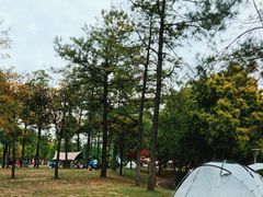 -美兰湖景区