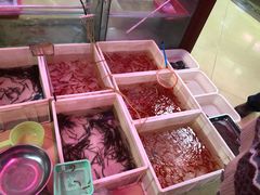 -花鸟鱼古玩市场