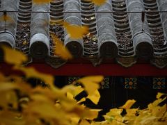 -红螺寺