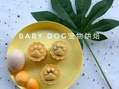 宠物月饼定制-BABYDOG宝贝狗宠物乐园(欧洲城店)