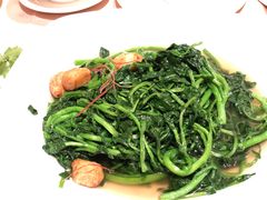 上汤西洋菜-陶陶居海鲜酒家(新马路店)