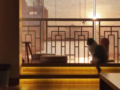 -猫にゃん · 猫的隐藏屋猫咖(麦地旗舰店)