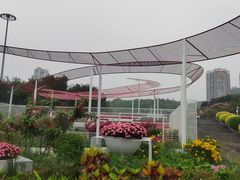 -深圳国际园林花卉博览园