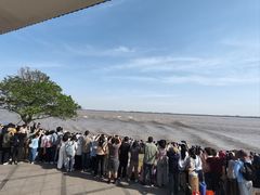 -观潮胜地公园