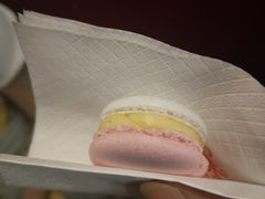 -3A07逆爱杯子蛋糕
