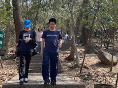 -紫金山山顶公园