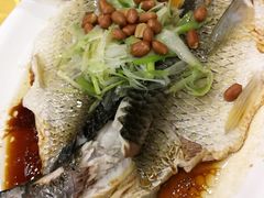 葱油淋鱼-粤·向群饭店(泮塘路店)