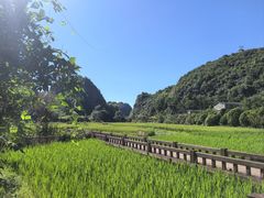 -高荡千年布依古寨旅游景区