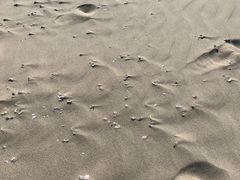 -六鳌翡翠湾滨海度假景区