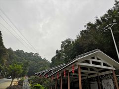 -广州市帽峰山景区