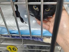 -达爱动物医院·犬猫分区·CT·复杂眼科(远洋山水分院)