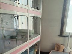 -Bastet sally猫舍购宠(静安店)