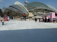 -沈阳奥体冰雪嘉年华