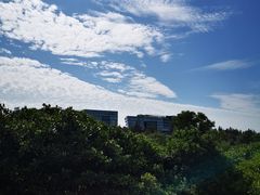 -华侨城湿地公园
