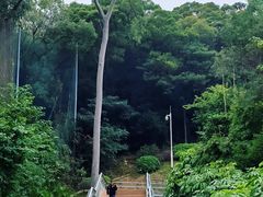 -广州雕塑公园