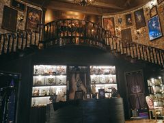 -雪灵魔法世界SHELLY’S TAROT(大良桂畔里店)