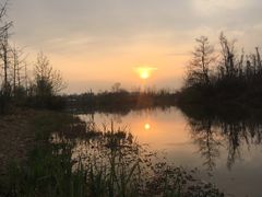 -白鹭湾湿地公园