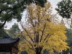 -汇龙潭