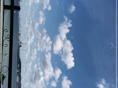 -莫内艺术岛海景咖啡