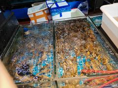-争先鲜·蒸汽海鲜自助·鲜切牛肉