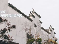 -广富林郊野公园