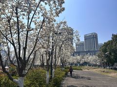 -南京眼步行桥