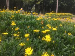 -苏州河梦清园环保主题公园