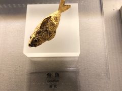 -日月山景区