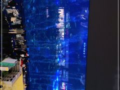 -成都浩海立方海洋公园