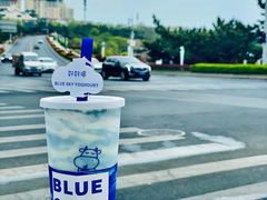 -白色日记·手作酸奶(麦凯乐店)