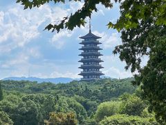 -宜兴龙背山森林公园