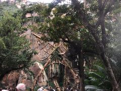 -奥兰多迪士尼动物王国乐园