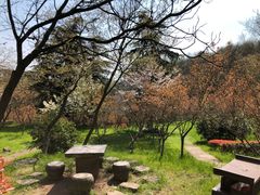 -南京市江宁方山