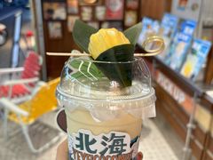 -椰椰大吉(侨港店)