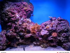 -泉城欧乐堡海洋极地世界