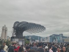 -星光大道