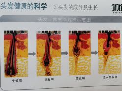 -章光101防脱养发荟