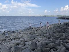 -上海吴淞炮台湾国家湿地公园