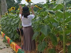 -松山湖梦幻百花洲