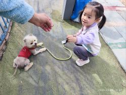 -萌宠亲子动物乐园(槐房万达店)