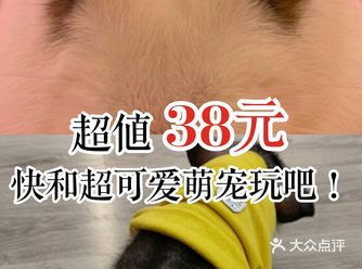 超值38元，快和超可爱萌宠一起来玩吧！