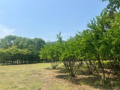 -宝界山林公园