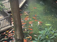 -新世纪大酒楼·30年南海菜