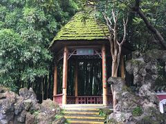 景点-望江楼公园